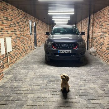 55fb1505 bb83 4c19 b0d2 1d252b92e0f0