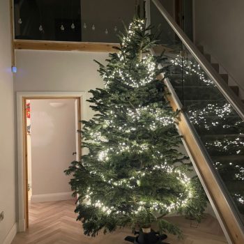 6eb6a38e 0ffc 4a74 b63b bc41aef92e01